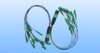 MPO-12LC-APC Patch Cord SM