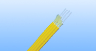 GJFJV  Ribbon 4